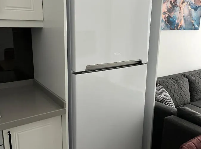 Silver House * דלמן